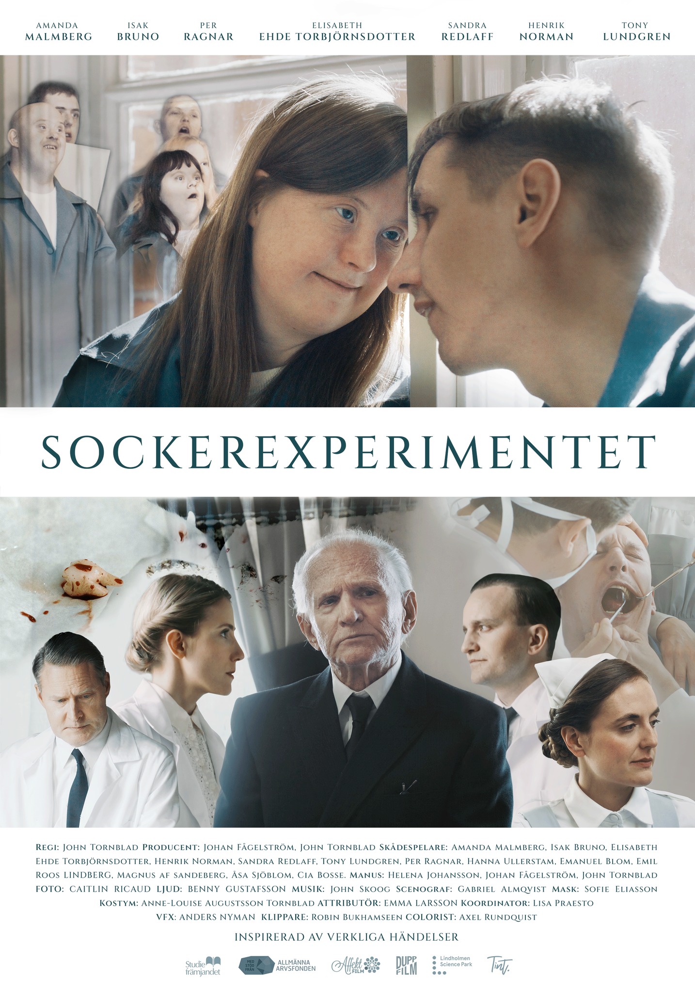 You are currently viewing Sockerexperimentet
